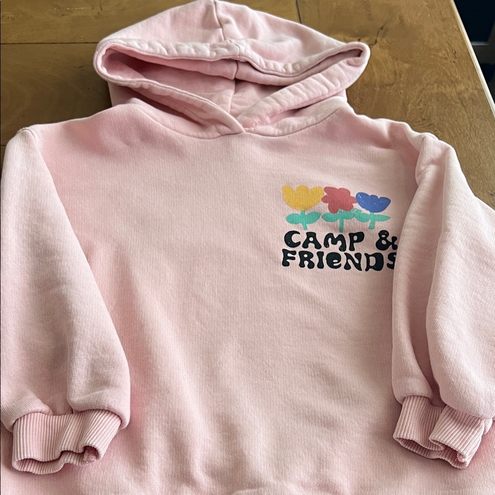 Pink Kids Hoodie by Zara. Size 4-5. GUC